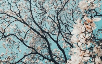 How to Grow When Faith Feels Dry