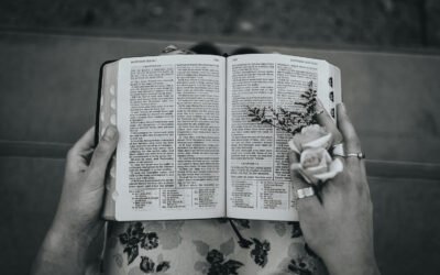 How to Start Reading the Bible