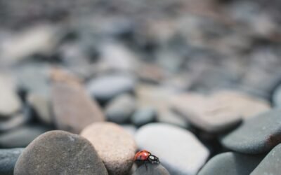 Even the Small Things Matter