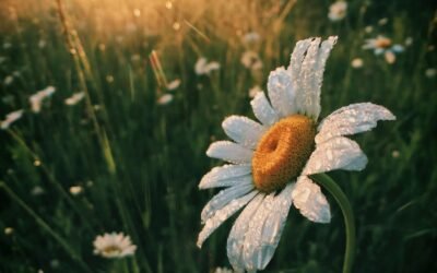 Faith-Filled Habits to Start Your Morning